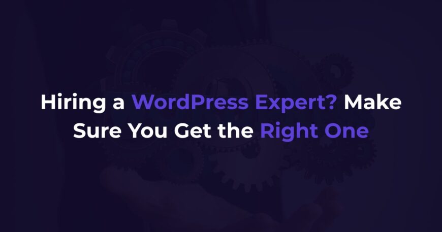 WordPress developer company